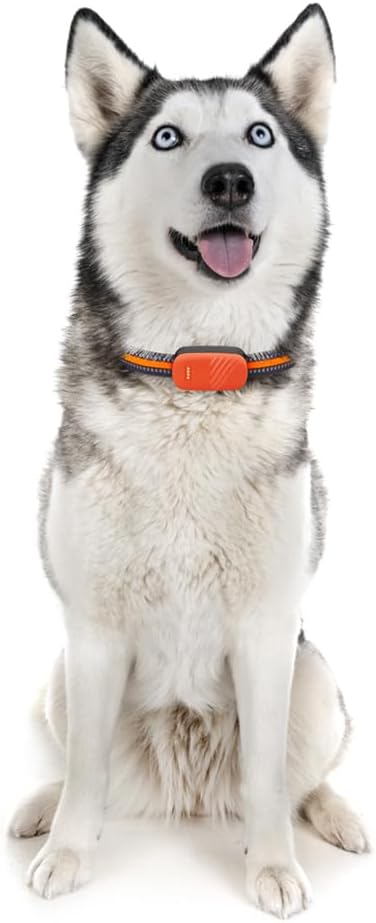 Pet GPS Waterproof Electronic Fence Dog Cat Collar