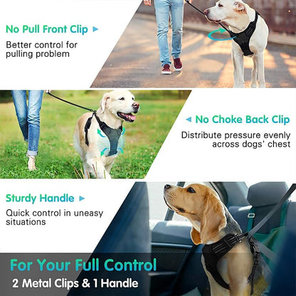 Dog Harness, no-Strap pet Harness with 2 Leash Clips