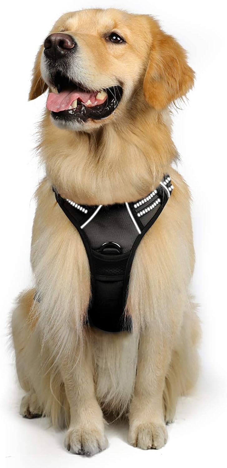 Dog Harness, no-Strap pet Harness with 2 Leash Clips