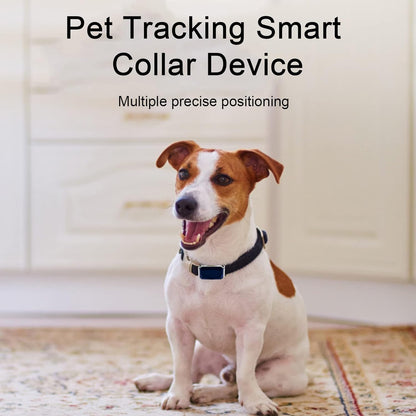 GPS Tracker Alertes d'évasion Dispositif de suivi pratique pour animaux de compagnie Collier intelligent Noir 