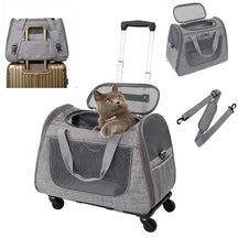 Pet Portable Bag Pet Trolley Case
