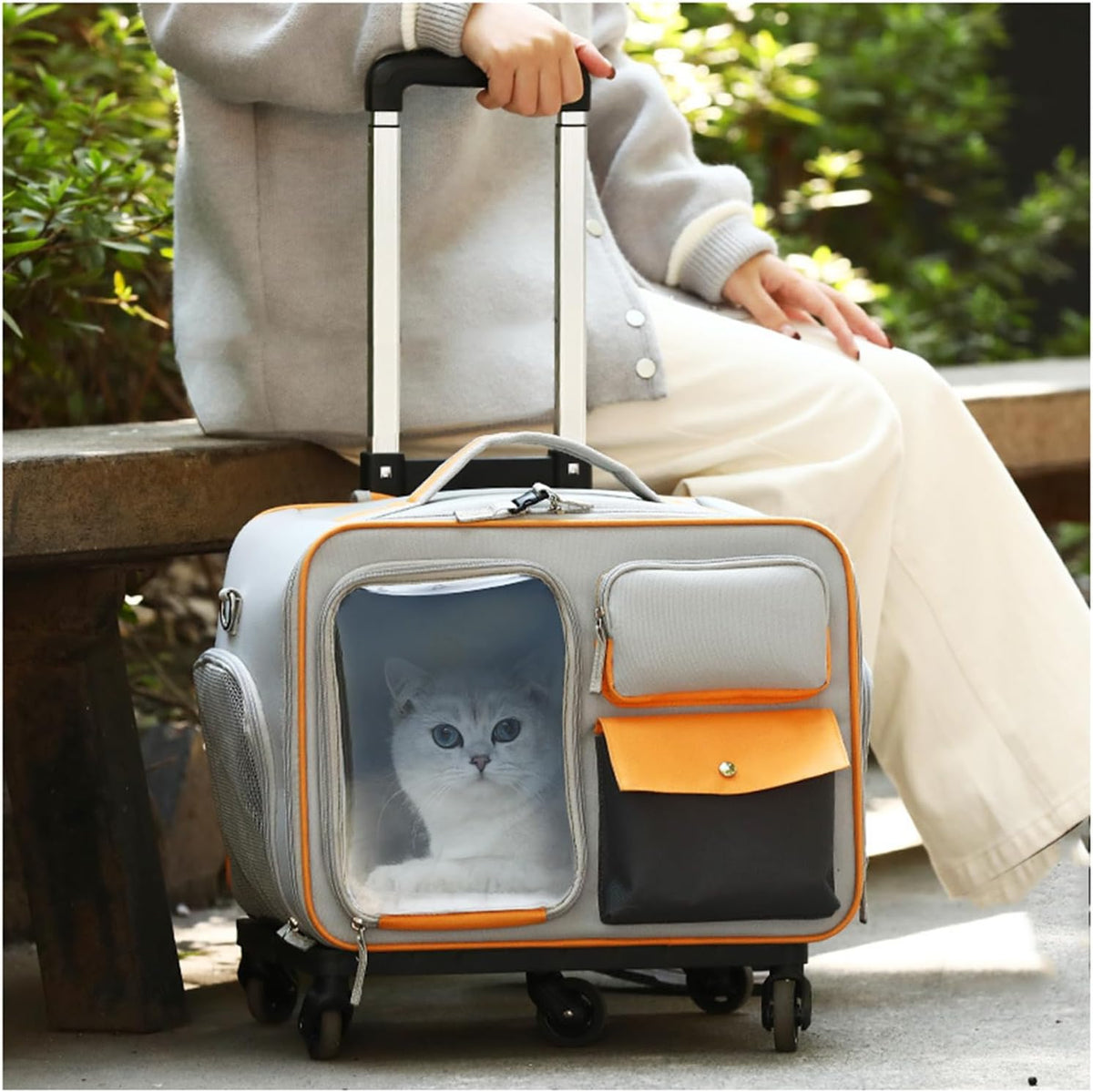 Sac à dos de transport pour chat avec roulettes, poignée télescopique, sangles de transport, caisse de transport pliable pour animaux de compagnie 