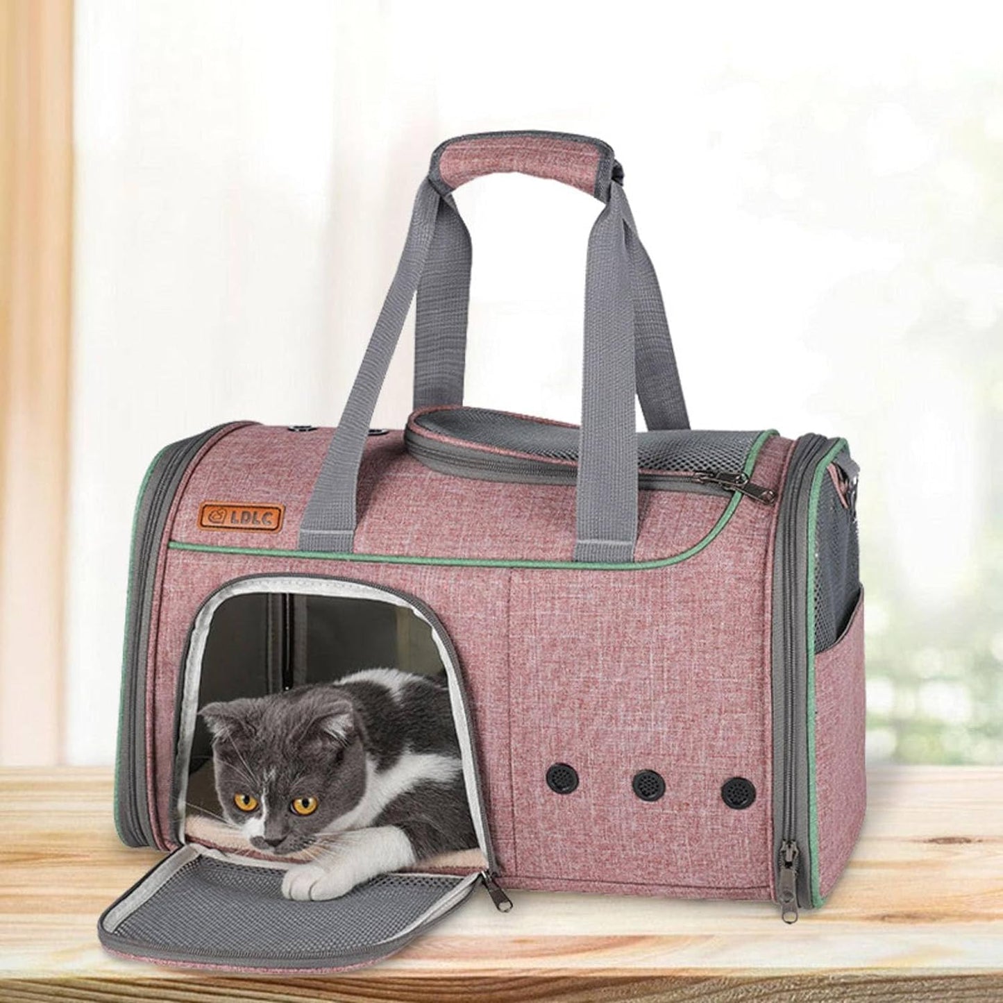 Pet Carrier Backpack Oxford Cloth