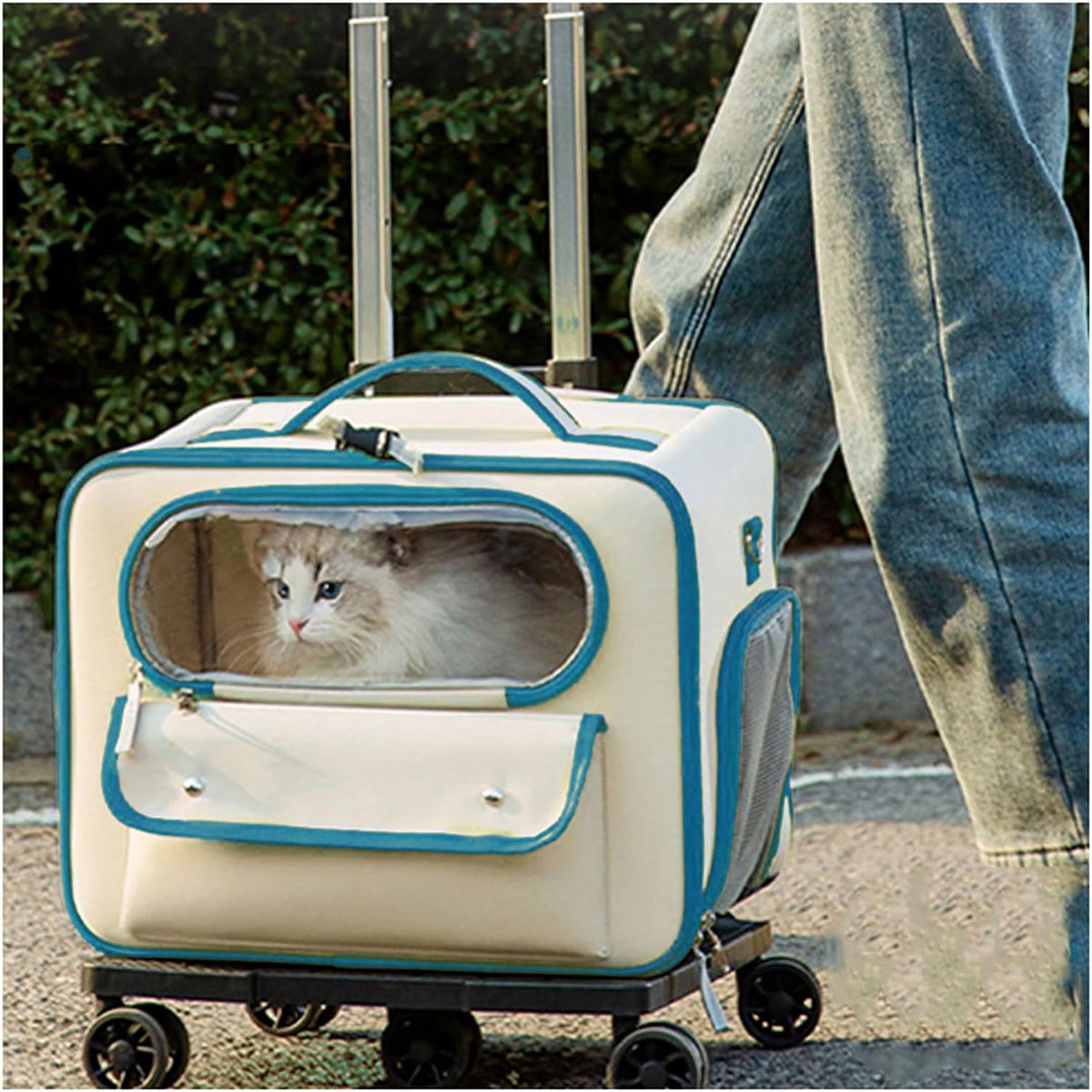 Sac à dos de transport pour chat avec roulettes, poignée télescopique, sangles de transport, caisse de transport pliable pour animaux de compagnie 