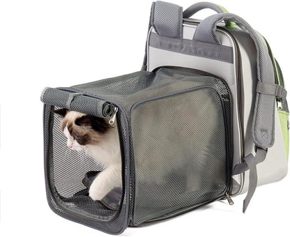 Sacs à dos pour animaux de compagnie chat chien sac à dos Portable Oxford tissu sac de transport respirant maille voyage pliable chat sac à dos fournitures pour animaux de compagnie 