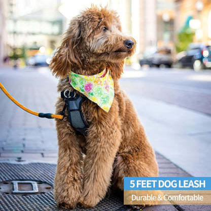 Laisse multicolore solide pour chien (1/2'' x 5 pieds) – Poignée rembourrée confortable et fils hautement réfléchissants pour chiens de petite, moyenne et grande taille 